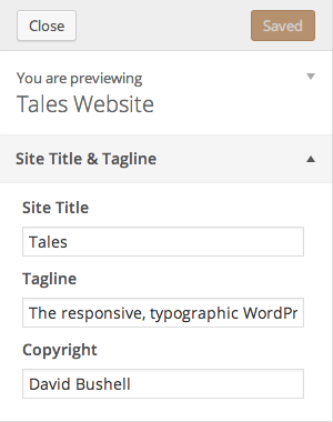 customizer panel for site options